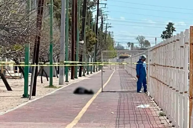 Asesinan a exjefe policiaco de Nogales