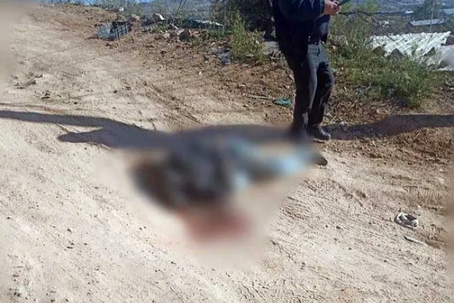 Fallece hombre al ser atropellado por conductor ‘fantasma’