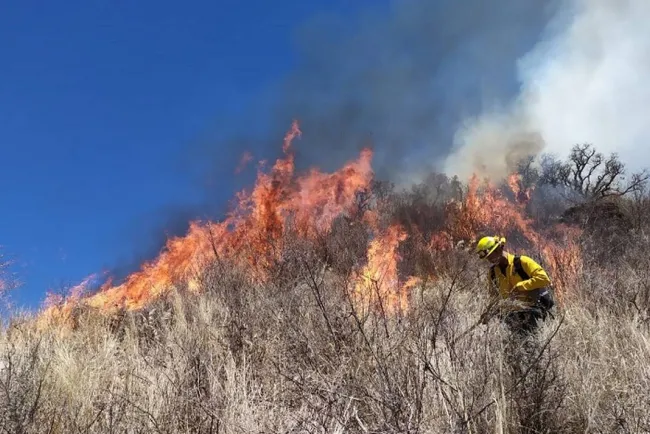 Van 22 incendios forestales en Sonora