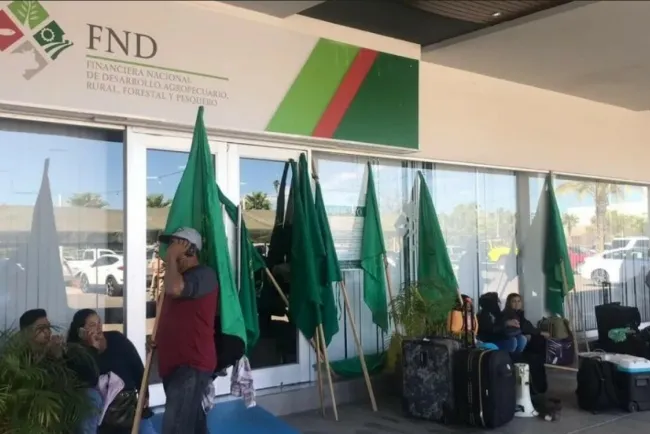 AMLO señala que Financiera Rural ya estaba dañada desde antes