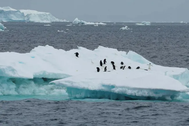 Alerta ONU por derretimiento de glaciares en tiempo récord