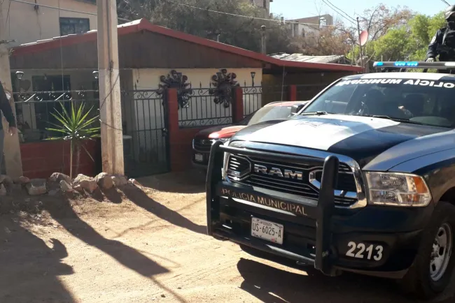 Roban animales y herramientas de comercio