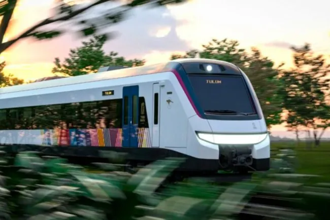 Destina Bienestar 2,857 mdp anualmente para cultivos en zona del Tren Maya