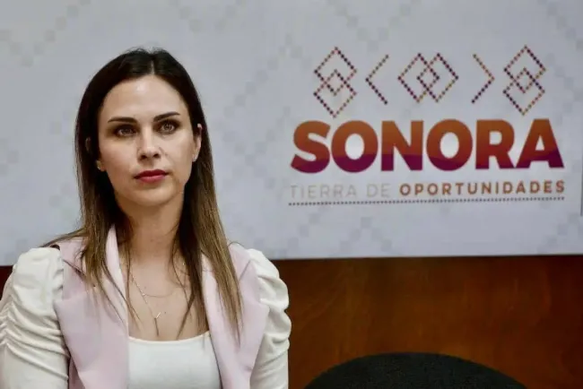 Renuncia Lirio del Castillo al Imtes; regresa al Congreso