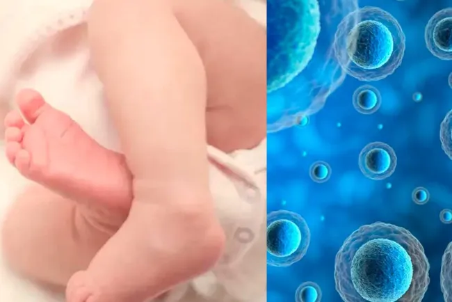 Nace bebé con ADN de tres personas en Reino Unido