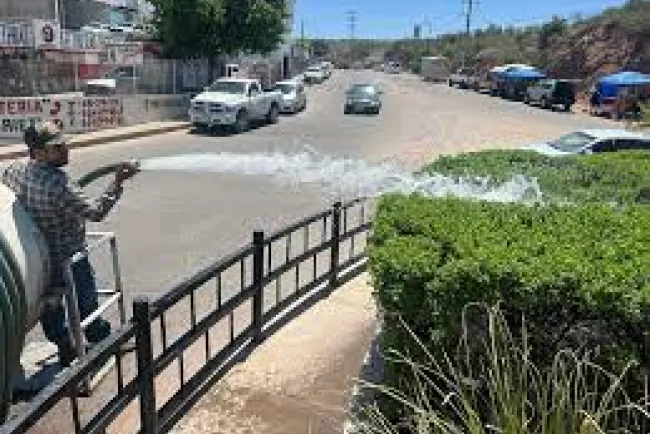 Dotarán de nuevas unidades a Imagen Urbana