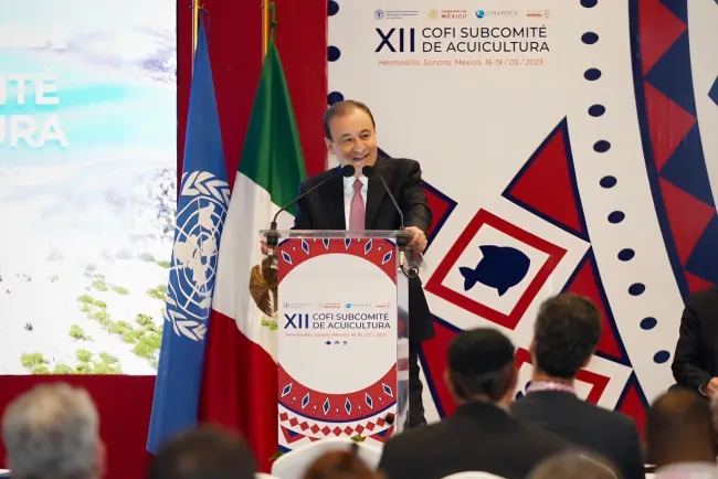 Buscan impulsar la actividad pesquera en Sonora