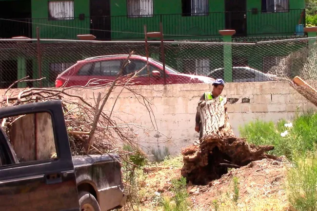 Suspenden clases en preescolar por presencia de serpientes