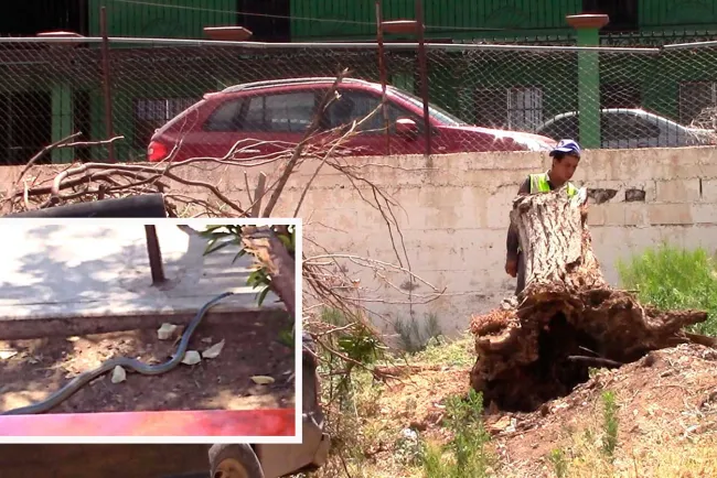 Listos para regreso a clases