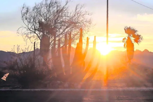 Es desierto sonorense, de los más calientes del mundo