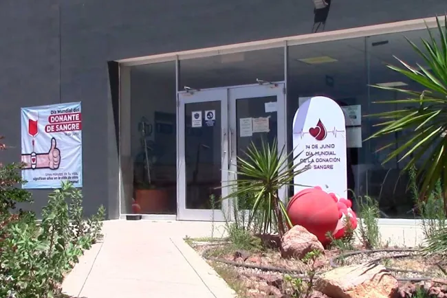 Celebran Día Mundial del Donador de Sangre