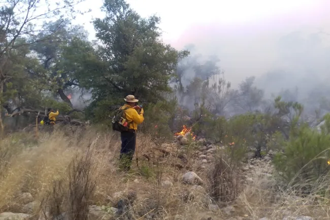 Piden apoyo para combatientes de incendio en Ímuris