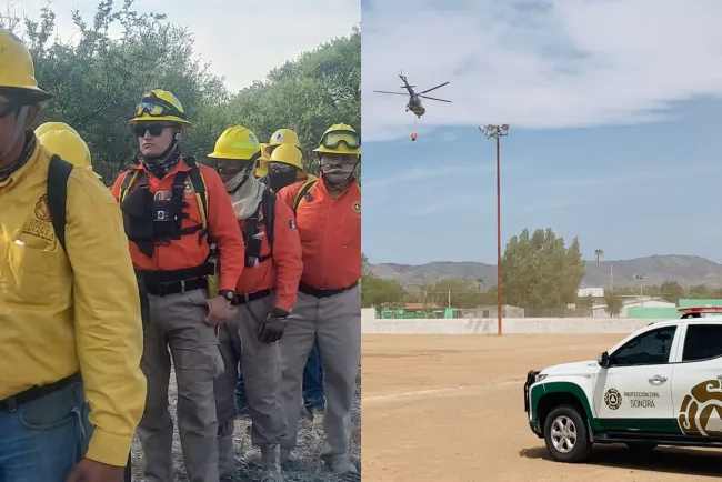Controlan 60% incendio forestal en Ímuris
