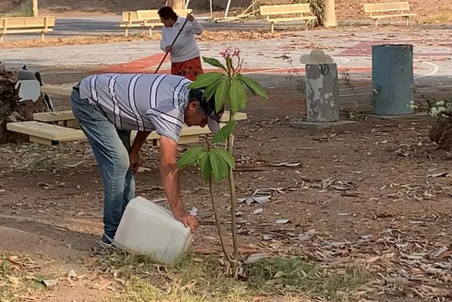 Celebran 200 jornadas de limpieza en La Sauceda