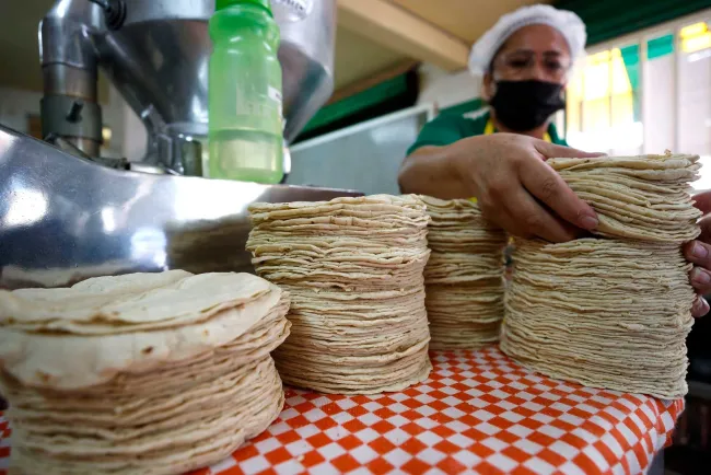 Impulsa AMLO consumo nacional de maíz blanco