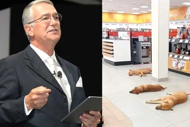 "Ordena" Salinas Pliego que lomitos duerman en tienda con aire acondicionado ante calor