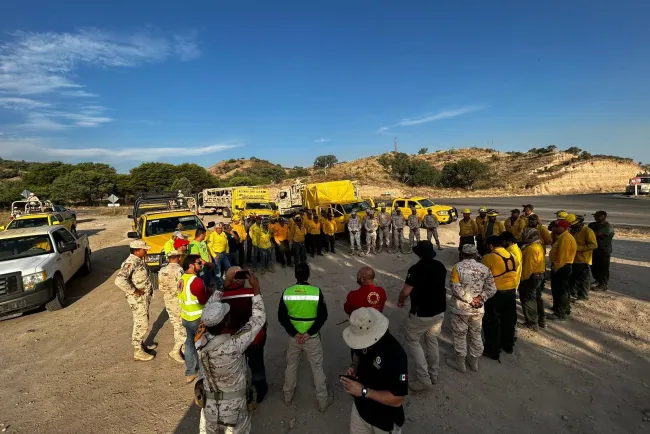 Apagan incendio forestal en Ímuris