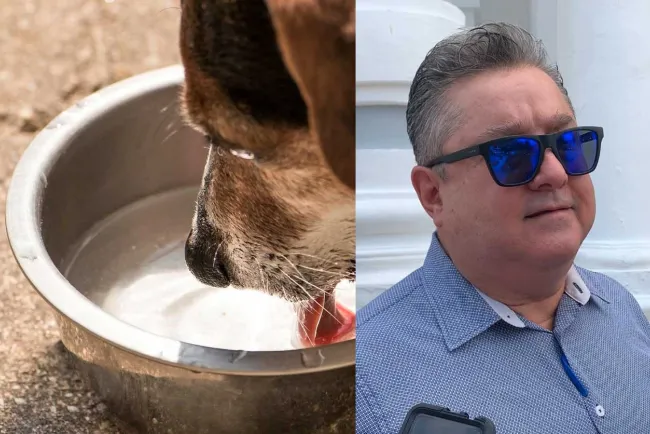 Llama Canaco a facilitar agua a animales en situación de calle