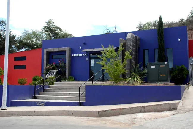 Enfrenta Arsobo retos de financiamiento de prótesis