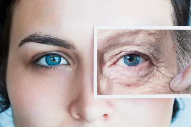 Descubren forma de frenar el envejecimiento celular