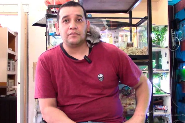 Piden respetar a abejas; son funtamentales para el medio ambiente