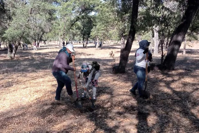 Encuentran Madres Buscadoras restos humanos en tres fosas
