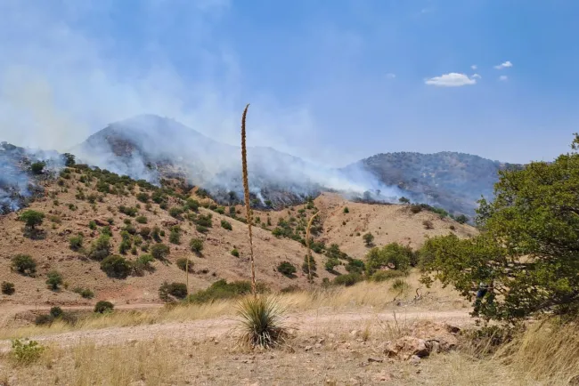 Consume incendio forestal más de 2 mil hectáreas