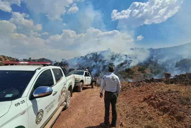 Sofocan incendio forestal en esta frontera