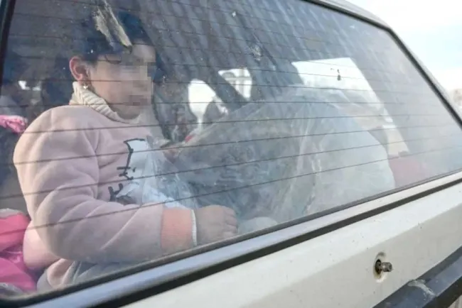 Insisten en no dejar a menores y mascotas en automóviles