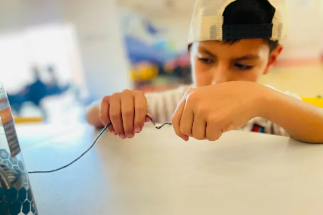 Reconoce el CRIT-Sonora a Alcalde de Nogales