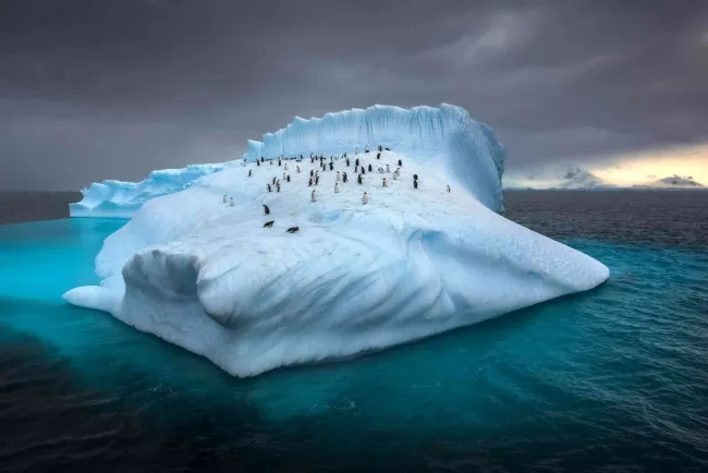 En riesgo hielo de la Antártida, llega a su nivel más bajo