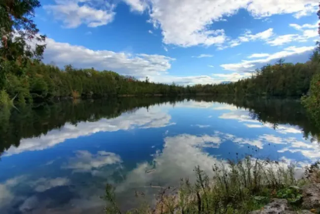 La humanidad ya está en la era del Antropoceno… ¿De qué se trata?