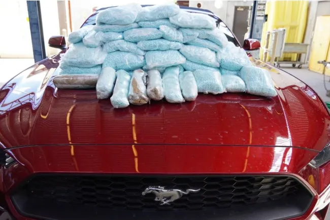 Incautan casi medio millón de pastillas de fentanilo