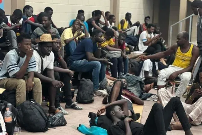 Alrededor de 270 migrantes fueron rescatados en una semana: FGR