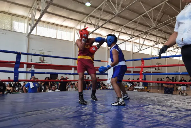 Tienen fiesta de pugilismo