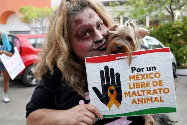 Va AMLO por día para el trato humano y justo para los animales