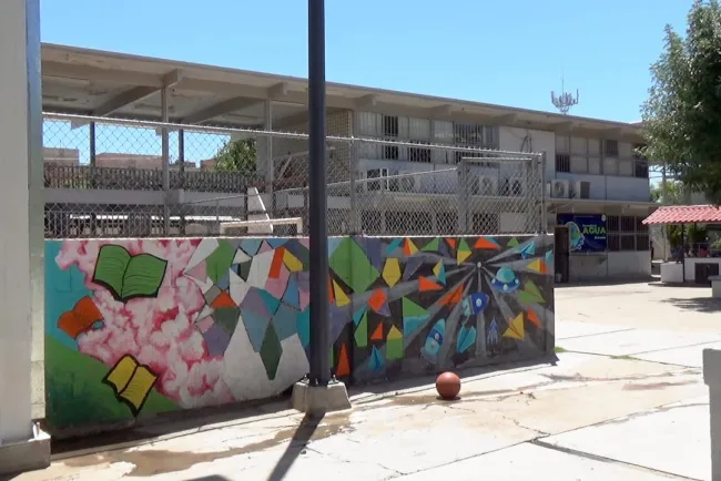 Analiza AEPAF contenidos de libros de texto gratuitos