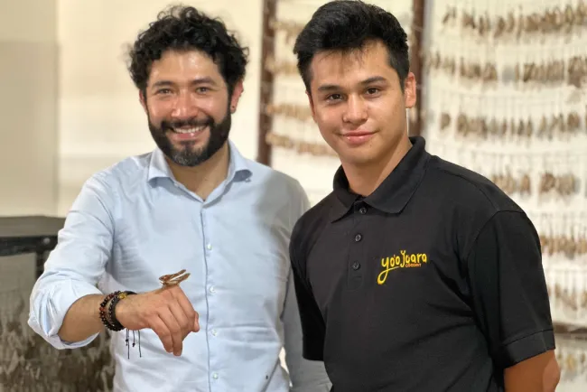 Limitarán en Cajeme programa de Jóvenes Construyendo el Futuro