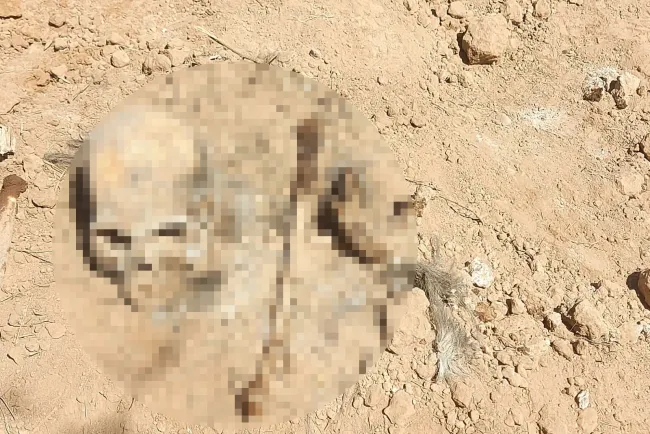 Encuentran osamentas en predio de Hermosillo