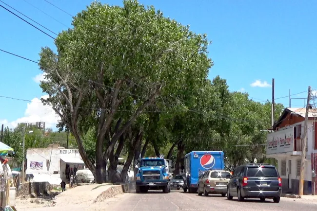 Apuestan al equilibrio ecológico en proyectos de infraestructura