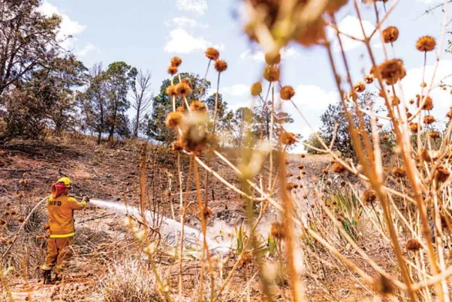 Daño millonario por incendio en Hawái