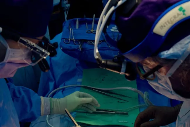 Trasplantan con éxito riñón de cerdo a un cuerpo humano