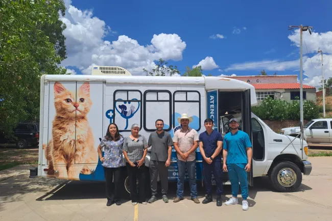 Llevarán servicios veterinarios a colonias con “VETO VAN”