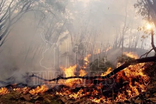 Aumenta récord de incendios forestales