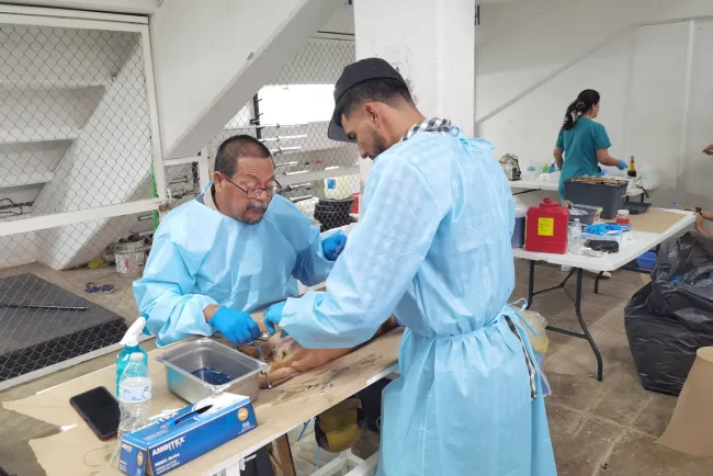 Cumplen nogalenses con el cuidado de sus mascotas