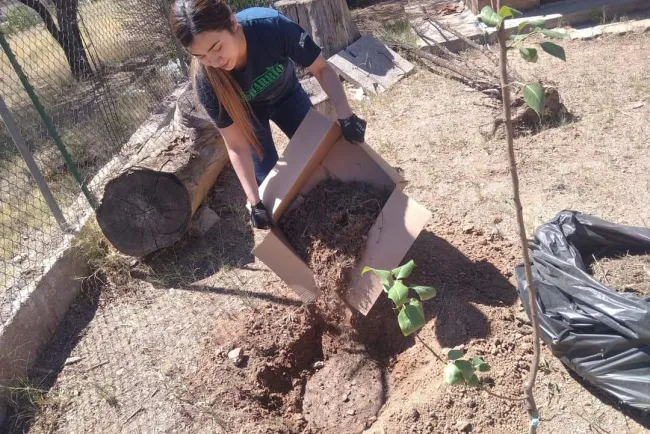 Realizan jóvenes reforestación en las instalaciones del Asilo