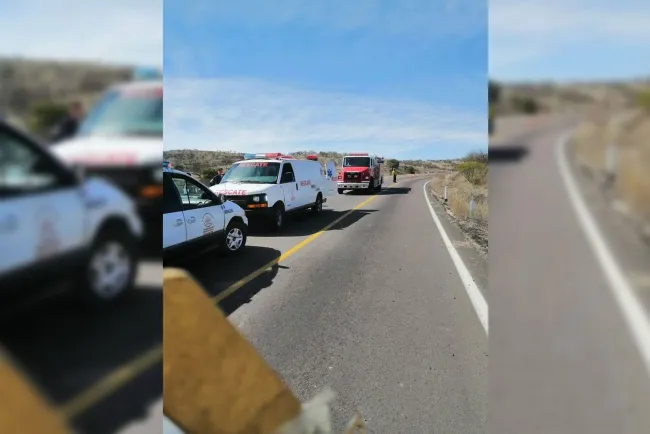 Impacta contra vaca en camino a Mascareñas