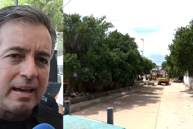 Derribarán 30 árboles en modernización de la Tecnológico