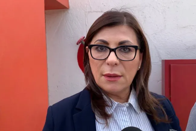 Buscan se instale empresa de baterías de litio