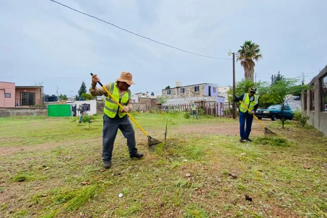 Intensifican las jornadas de limpieza en espacios públicos
